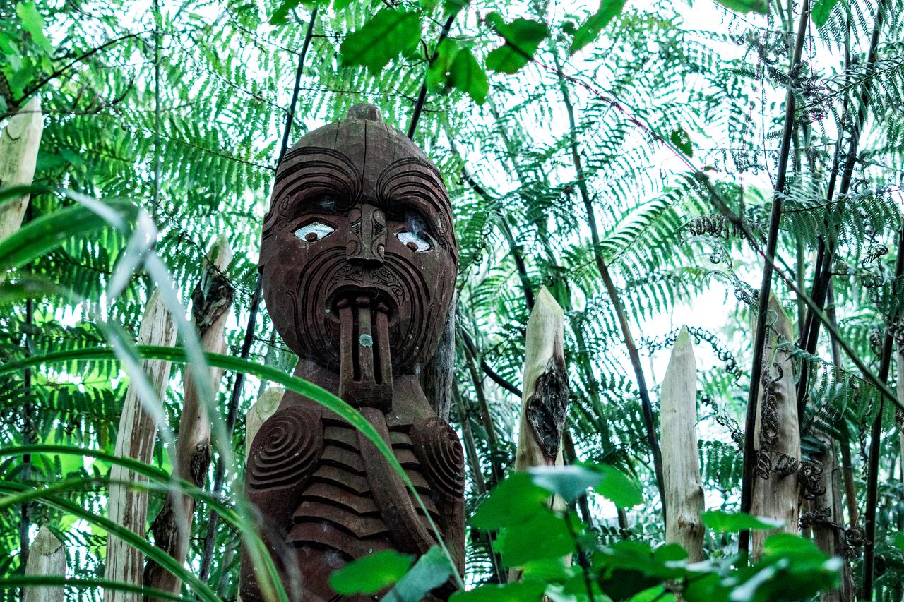 Explore a traditional Maori totem nestled within a vibrant New Zealand forest.