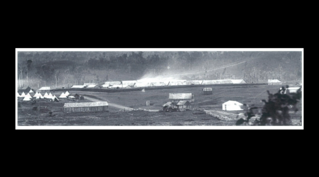 From Hikoi to Marae: Walking Through Pōkeno’s History with Matthew Dean